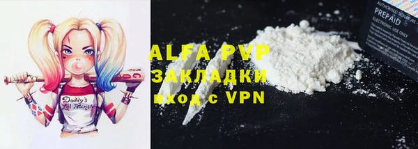 стаф Анива