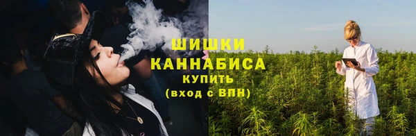 прущие крисы Магас