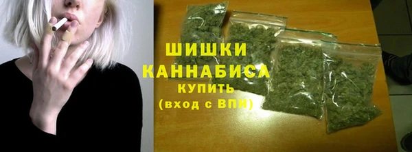 индика Майский