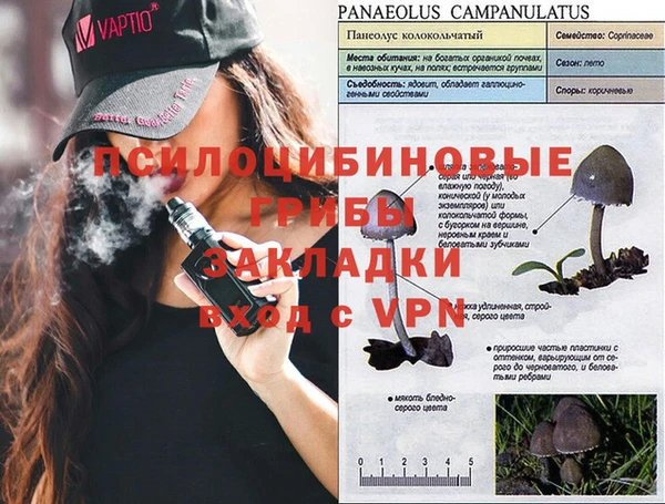 индика Майский