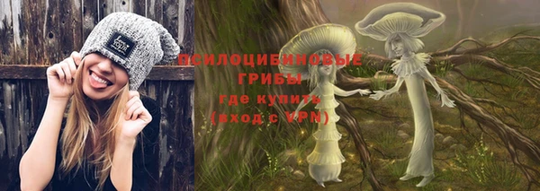индика Майский