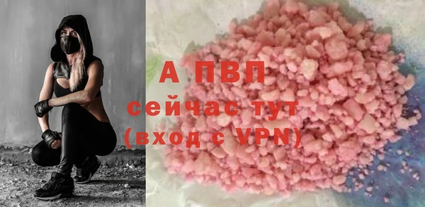 прущие грибы Вязники