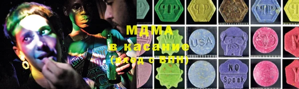 индика Майский